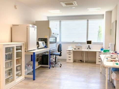 Slider image (4) CORE Regenerative Orthopedic Center